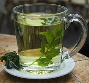 Имбирный чай – рецепты приготовления имбирного чая